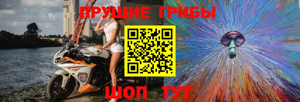 Псилоцибиновые грибы Cubensis Ялта