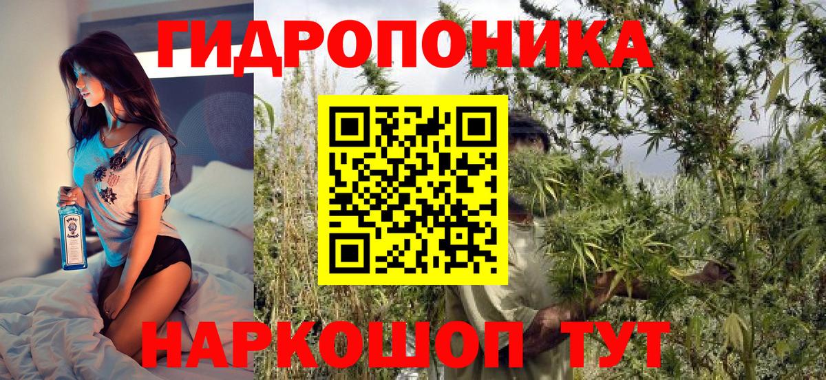 Конопля Amnesia  Вход с VPN  Канабис OG Kush  Шишки марихуана конопля  Ялта 
